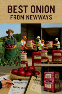 BCO.36fab7f2-ae07-4434-a1e9-7074be595959