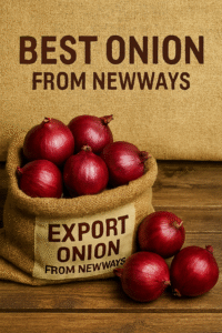 BCO.df898300-098f-4da5-99a6-20e0099b4fa6